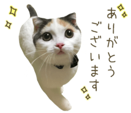 mugi325channel sticker #14142716