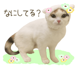 mugi325channel sticker #14142718