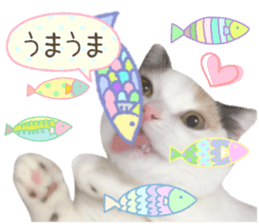 mugi325channel sticker #14142719