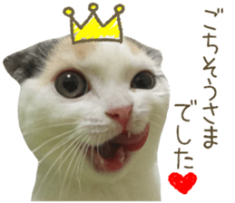 mugi325channel sticker #14142720