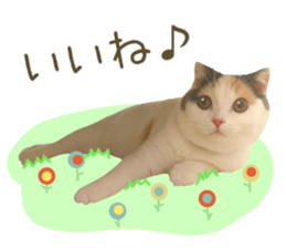 mugi325channel sticker #14142721