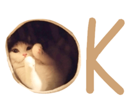 mugi325channel sticker #14142722