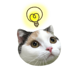 mugi325channel sticker #14142727