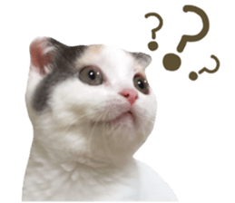 mugi325channel sticker #14142728