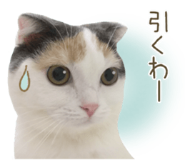 mugi325channel sticker #14142731