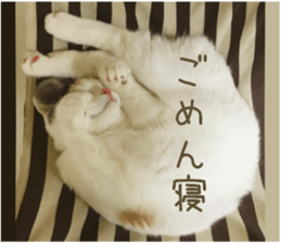 mugi325channel sticker #14142733