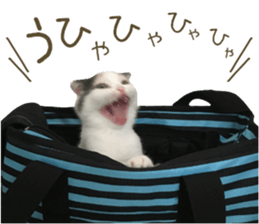 mugi325channel sticker #14142734