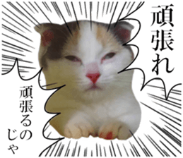 mugi325channel sticker #14142735