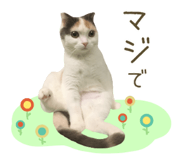 mugi325channel sticker #14142736