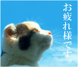 mugi325channel sticker #14142737