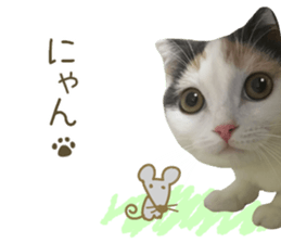 mugi325channel sticker #14142738