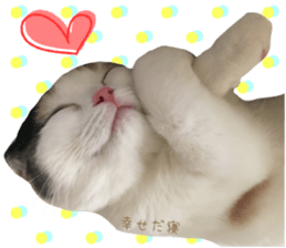 mugi325channel sticker #14142739