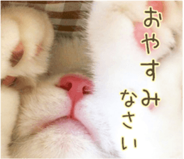 mugi325channel sticker #14142740