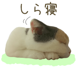 mugi325channel sticker #14142743