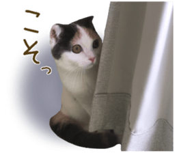 mugi325channel sticker #14142744