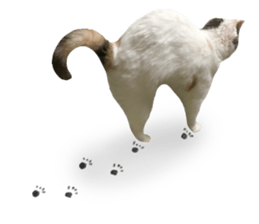 mugi325channel sticker #14142747