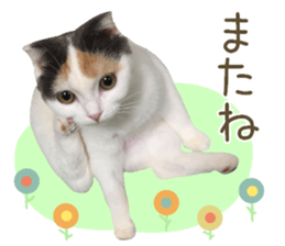 mugi325channel sticker #14142748