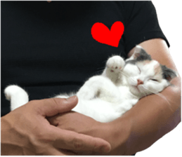 mugi325channel sticker #14142749