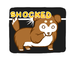 Little sheltie sticker #14142831