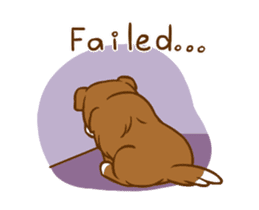 Little sheltie sticker #14142835