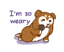 Little sheltie sticker #14142839