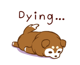 Little sheltie sticker #14142840