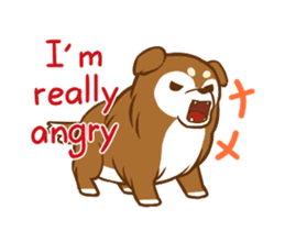 Little sheltie sticker #14142846