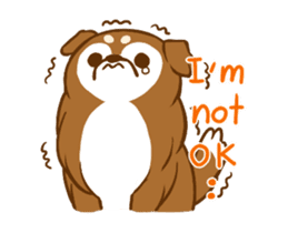 Little sheltie sticker #14142847