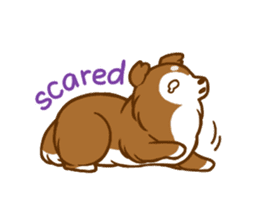 Little sheltie sticker #14142848