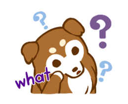 Little sheltie sticker #14142849