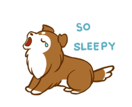 Little sheltie sticker #14142853