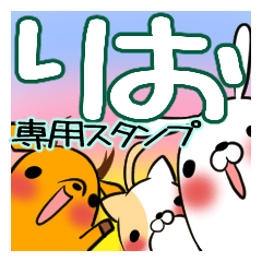 RIO's exclusive sticker