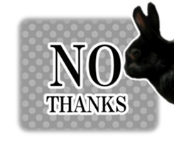 Real cute black and brown rabbits sticker #14145367