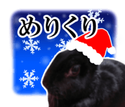 Real cute black and brown rabbits sticker #14145371