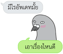 Let's Speak with Pigeon sticker #14148106