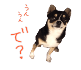 I am Lil. (Answer2) sticker #14150654