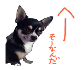 I am Lil. (Answer2) sticker #14150655