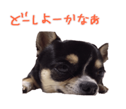 I am Lil. (Answer2) sticker #14150656