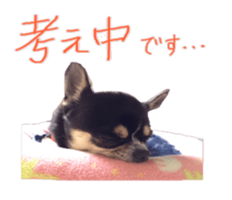 I am Lil. (Answer2) sticker #14150658