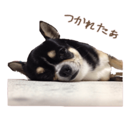 I am Lil. (Answer2) sticker #14150659