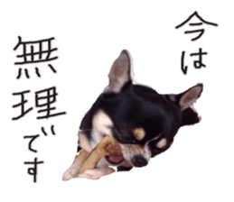 I am Lil. (Answer2) sticker #14150660