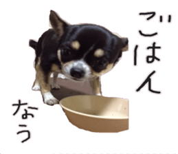 I am Lil. (Answer2) sticker #14150661