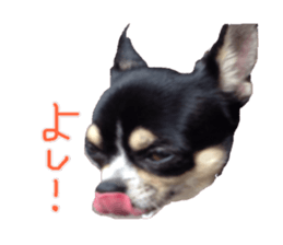 I am Lil. (Answer2) sticker #14150662