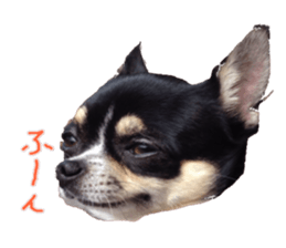 I am Lil. (Answer2) sticker #14150663