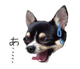 I am Lil. (Answer2) sticker #14150664