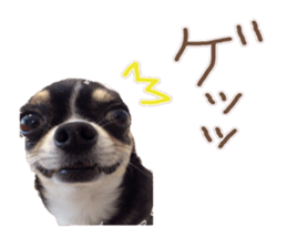 I am Lil. (Answer2) sticker #14150666