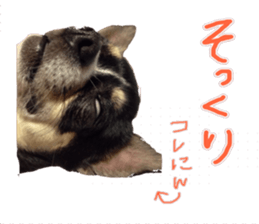 I am Lil. (Answer2) sticker #14150669