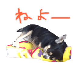 I am Lil. (Answer2) sticker #14150671