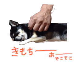 I am Lil. (Answer2) sticker #14150672