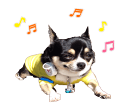 I am Lil. (Answer2) sticker #14150673